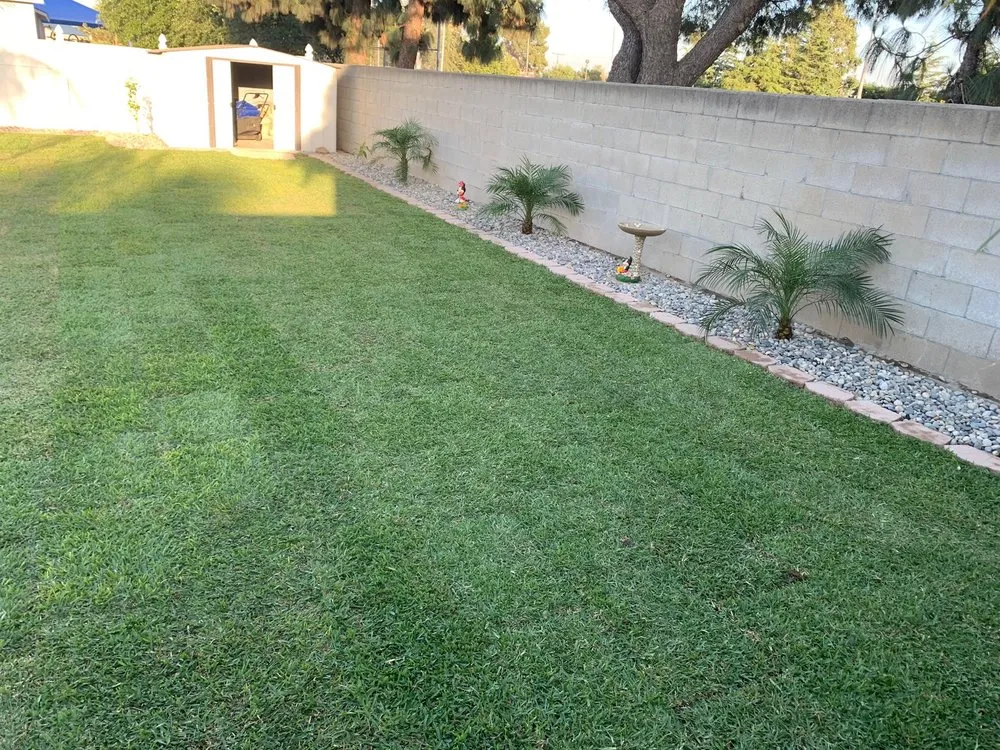 Custom yard cleanup service in Rialto, CA by Evergreen Gardens Landscape