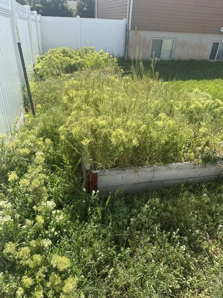 Expert landscape design for residential properties across South Ogden, UT - Evergreen Gardens