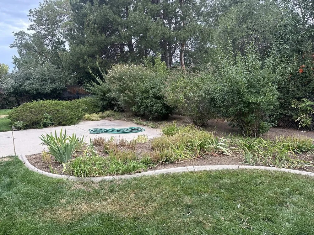 Professional yard cleanup service experts serving South Ogden, UT - Evergreen Gardens