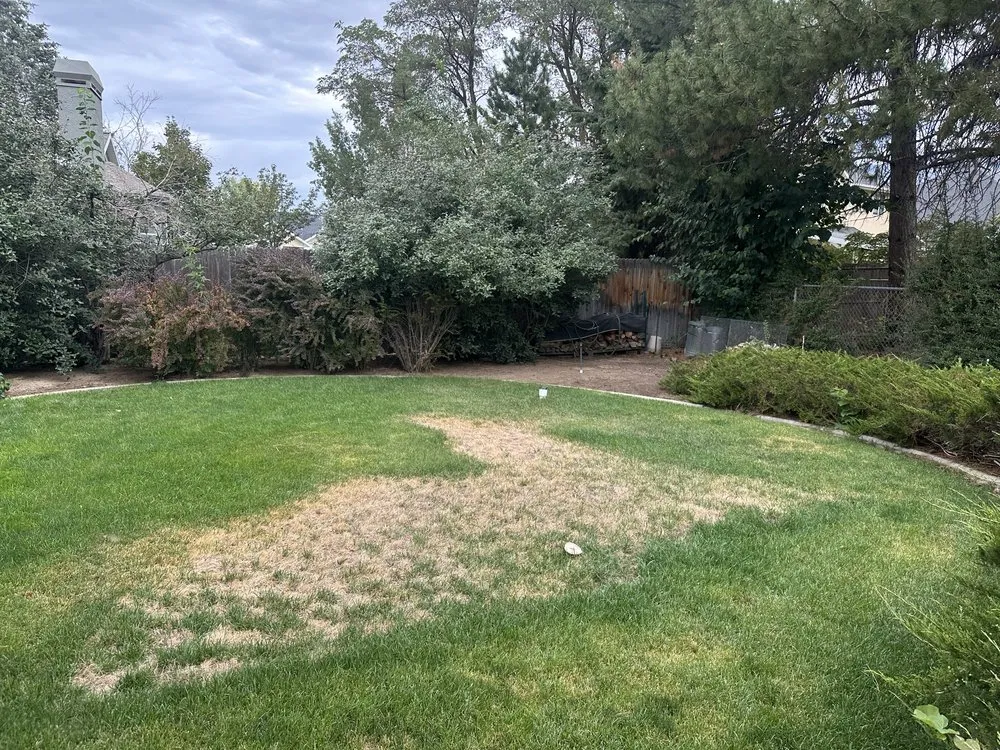 Top-rated residential landscaping experts serving South Ogden, UT - Evergreen Gardens