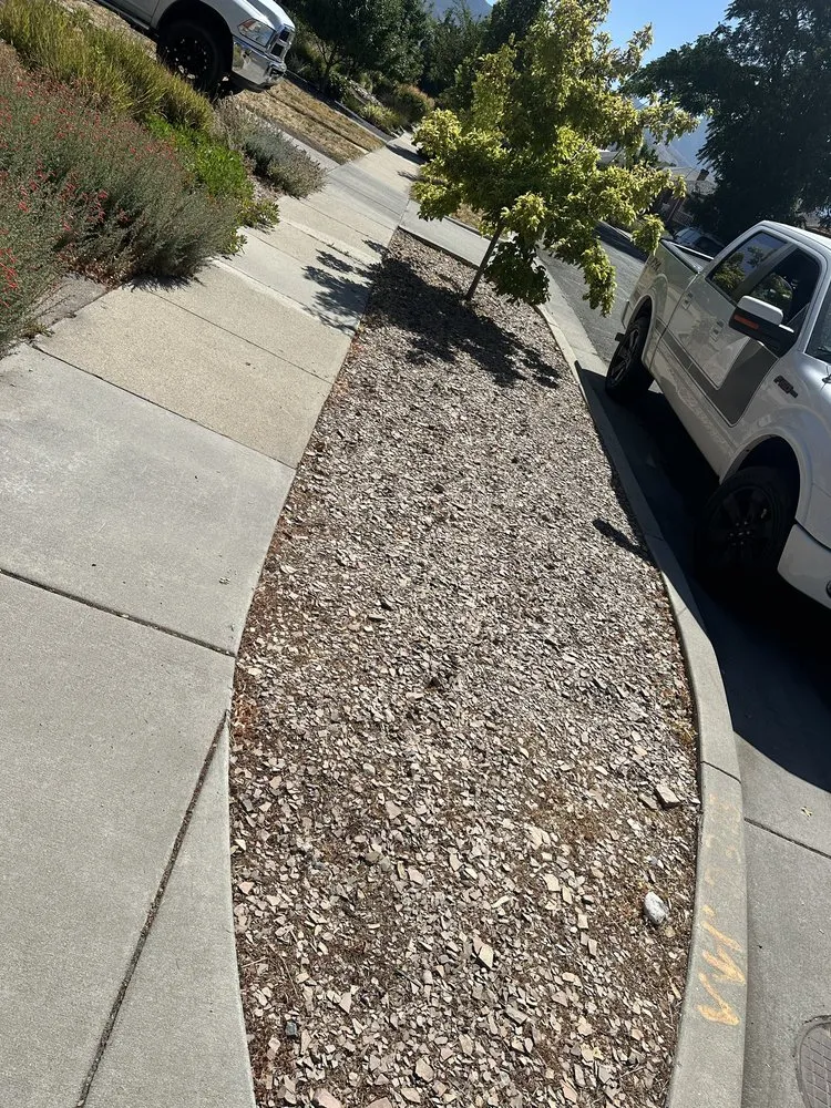 Custom yard cleanup service experts serving South Ogden, UT - Evergreen Gardens