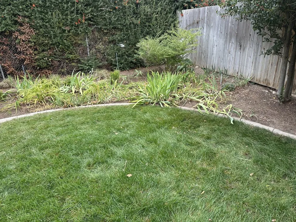 Top-rated yard maintenance in South Ogden, UT - Evergreen Gardens