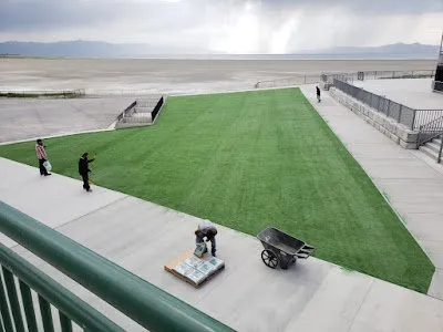 Trusted yard cleanup service experts serving San Mateo, CA - Evergreen Grass Depot