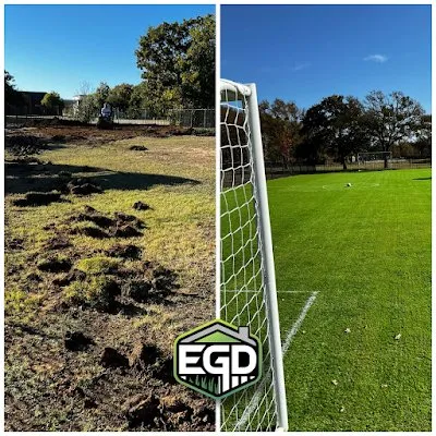 Local yard cleanup service in San Mateo, CA by Evergreen Grass Depot