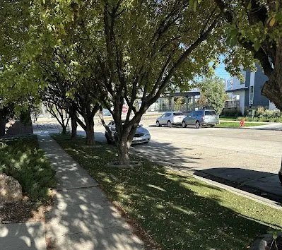 Trusted yard maintenance near you across San Mateo, CA - Evergreen Grass Depot