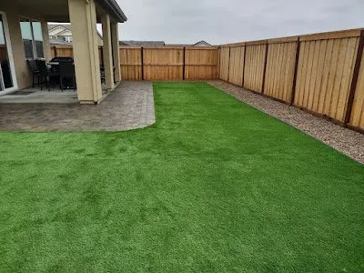 Local yard cleanup service experts serving San Mateo, CA - Evergreen Grass Depot