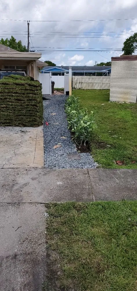 Local yard cleanup service in Fort Lauderdale, FL by Evergreen Greenery