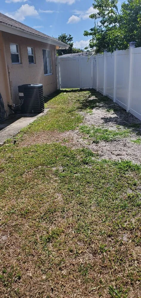 Custom yard cleanup service experts serving Fort Lauderdale, FL - Evergreen Greenery