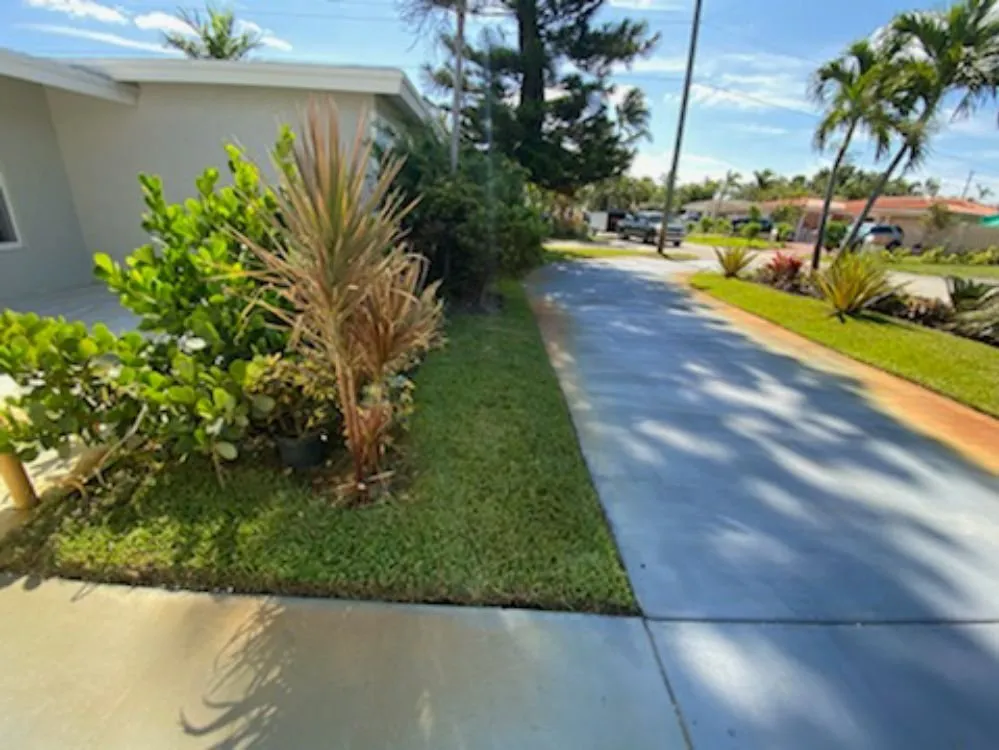 Local landscaping services in Fort Lauderdale, FL by Evergreen Greenery