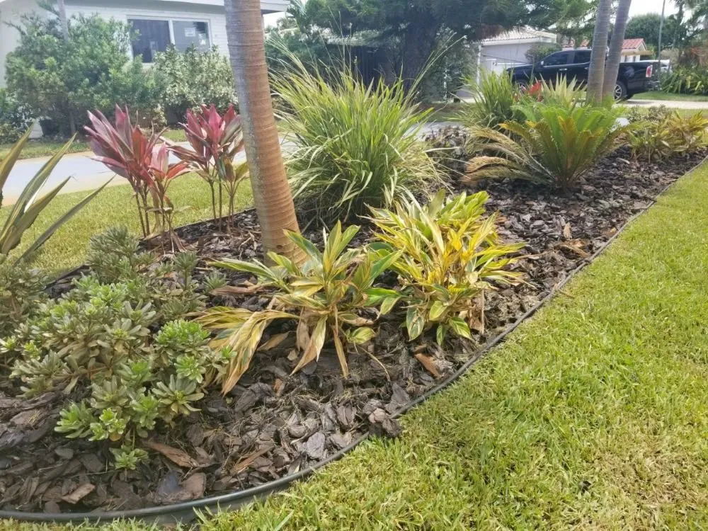 Top-rated lawn mowing service in Fort Lauderdale, FL by Evergreen Greenery