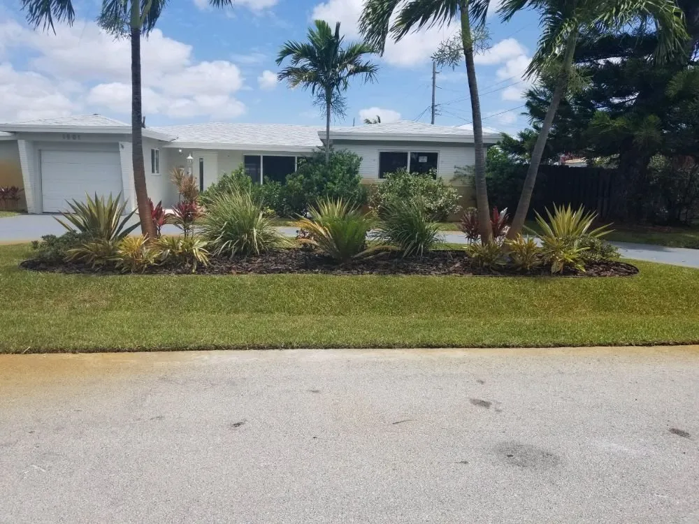 Expert landscape design experts serving Fort Lauderdale, FL - Evergreen Greenery