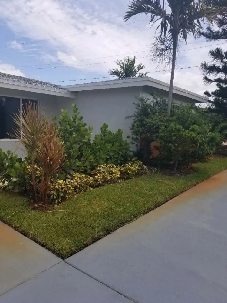 Custom landscape installation experts serving Fort Lauderdale, FL - Evergreen Greenery