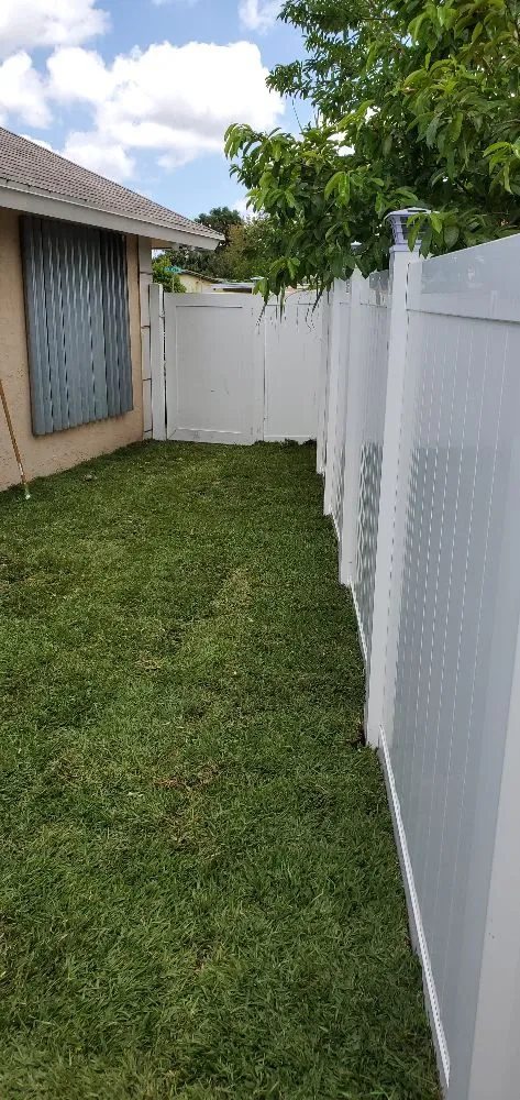 Top-rated yard cleanup service experts serving Fort Lauderdale, FL - Evergreen Greenery