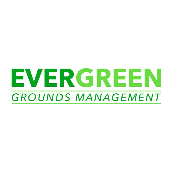 Professional yard cleanup service for beautiful yards in Prairieville, LA by Evergreen Grounds Management