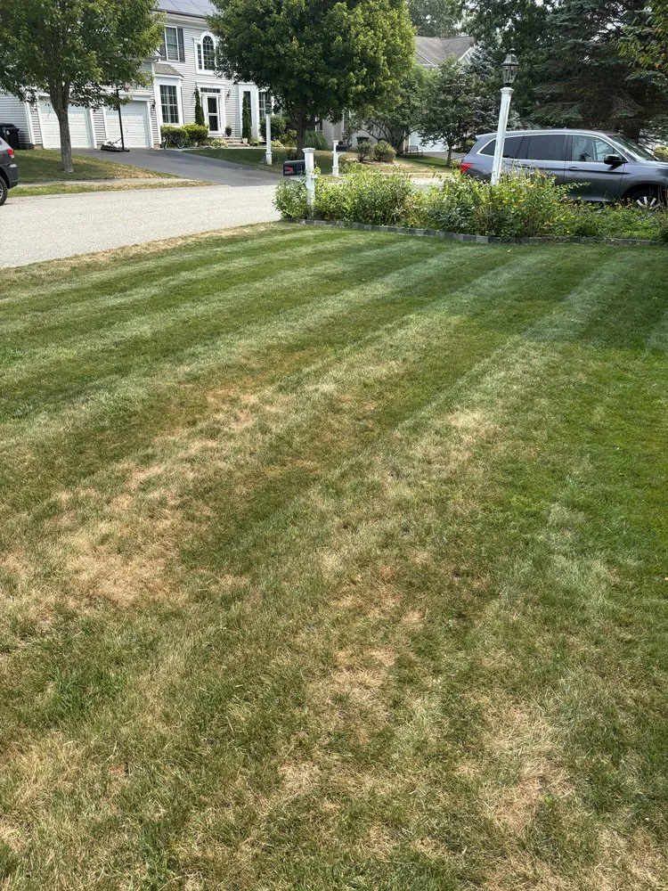 Reliable lawn mowing service in North Andover, MA - Evergreen Grove Landscaping