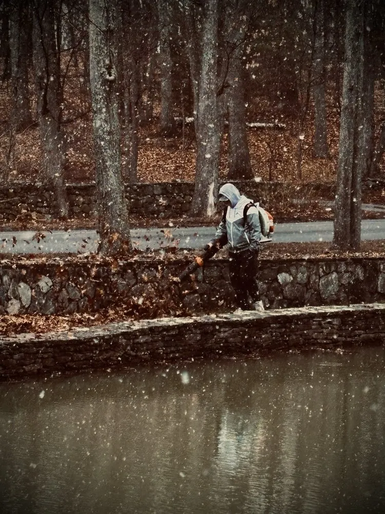 Custom yard cleanup service experts serving North Andover, MA - Evergreen Grove Landscaping