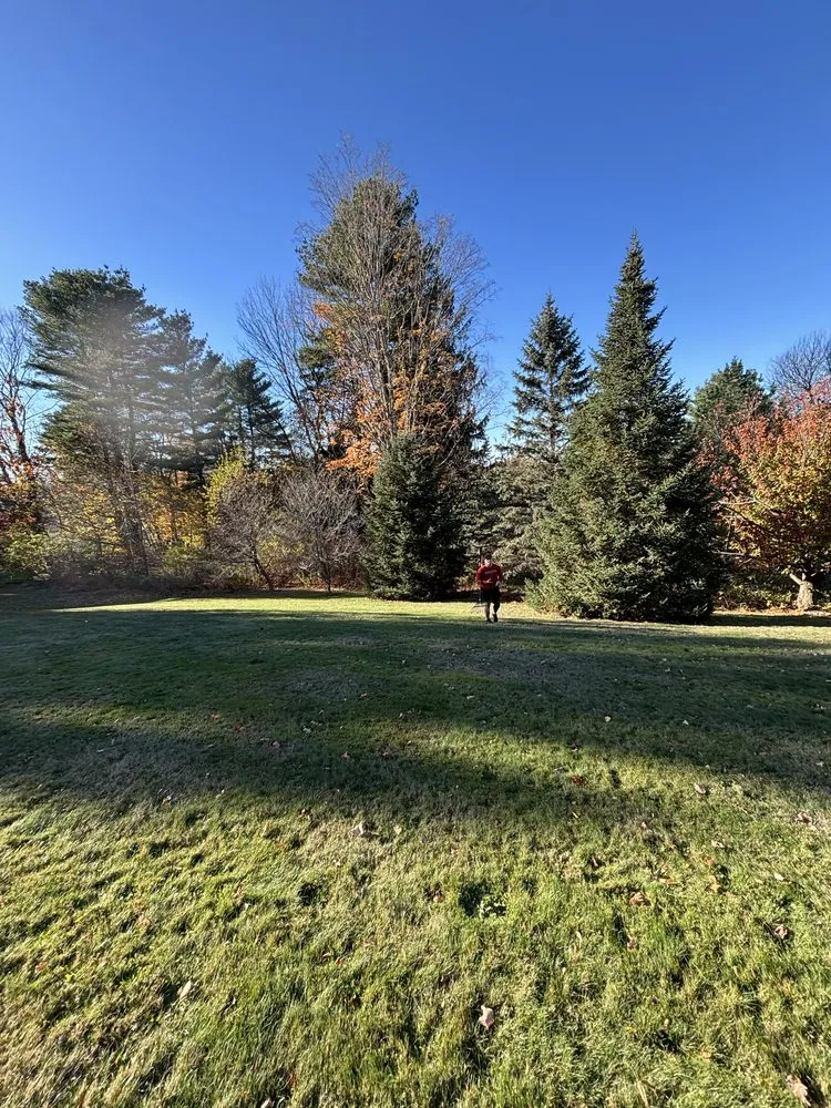 Professional landscaping services in North Andover, MA by Evergreen Grove Landscaping