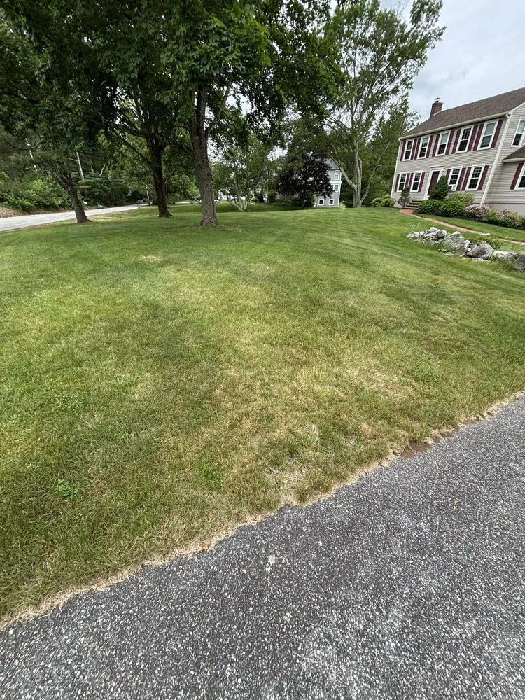 Custom landscape design in North Andover, MA - Evergreen Grove Landscaping