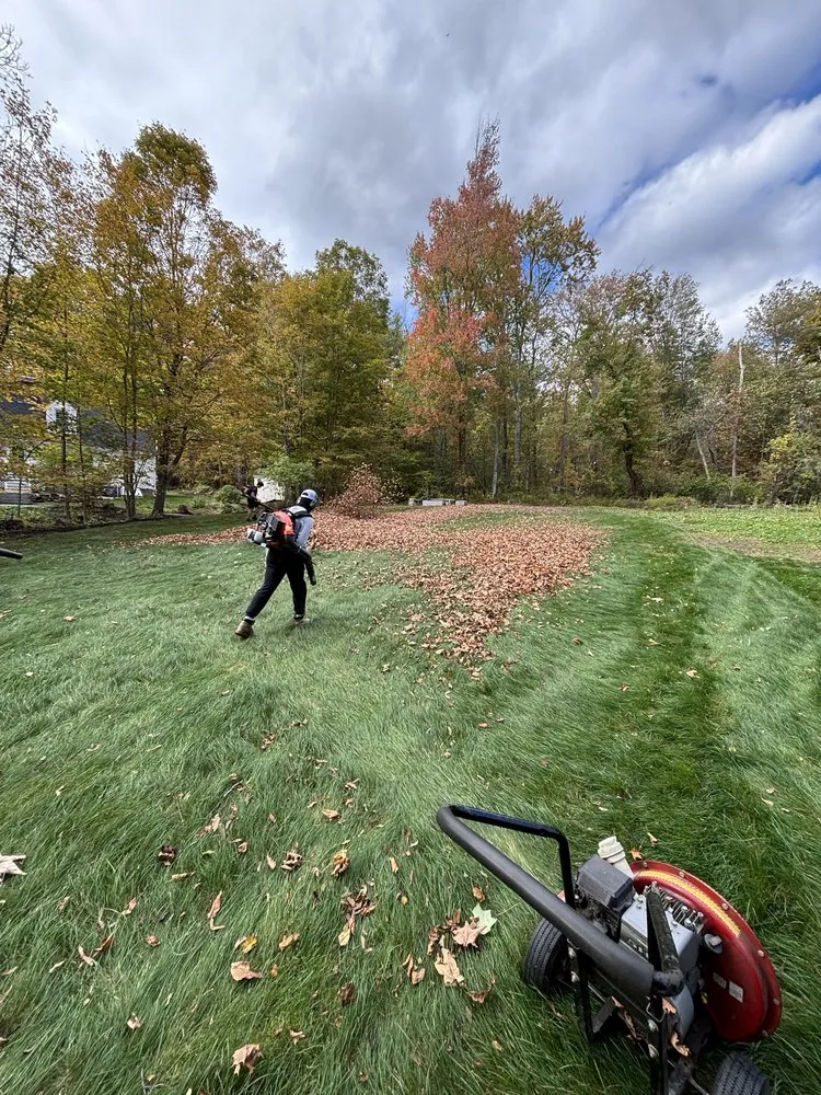 Trusted landscaping services for homes in North Andover, MA by Evergreen Grove Landscaping