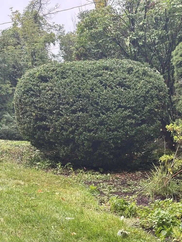 Trusted landscape design with custom design in North Andover, MA by Evergreen Grove Landscaping