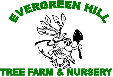 Custom residential landscaping with custom design across Hemlock, MI - Evergreen Hill Tree Farm & Nursery