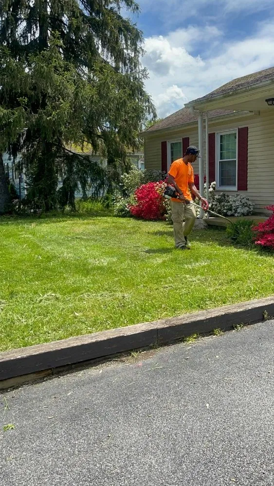 Expert garden landscaping experts serving Ellenville, NY - Evergreen Home Maintenance