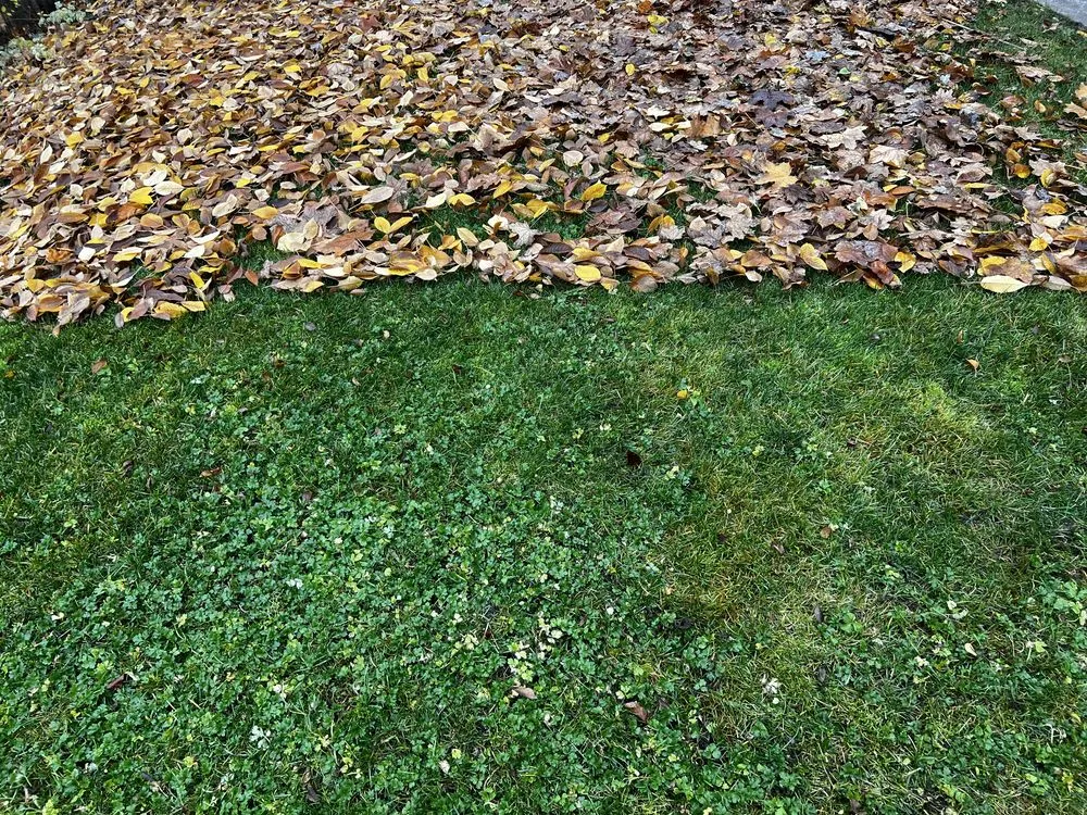 Top-rated landscape installation for homes across Deer Park, WA - Evergreen Home Services