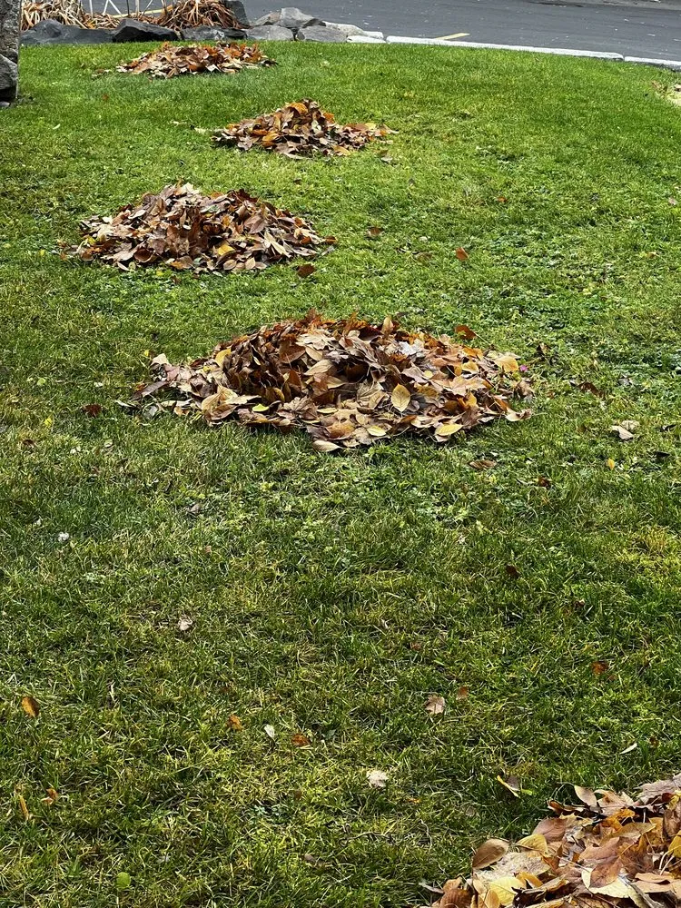 Reliable lawn care service in Deer Park, WA by Evergreen Home Services