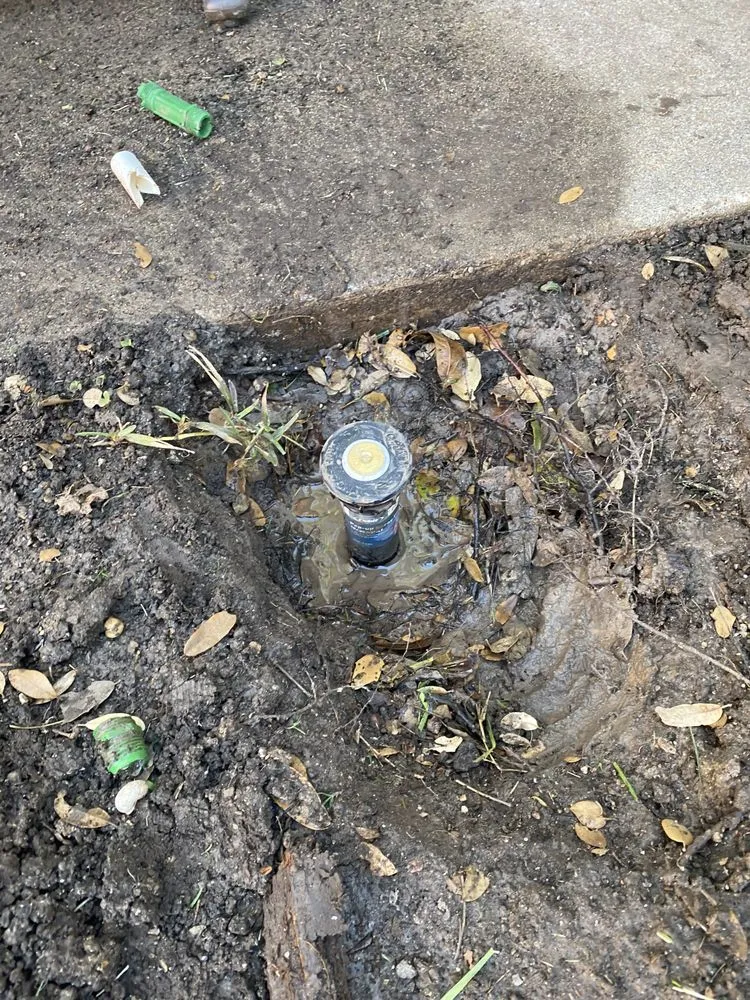 Reliable residential landscaping with custom design across Longs, SC - Evergreen Irrigation