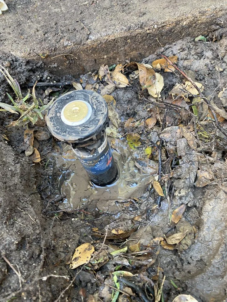 Trusted residential landscaping in Longs, SC - Evergreen Irrigation