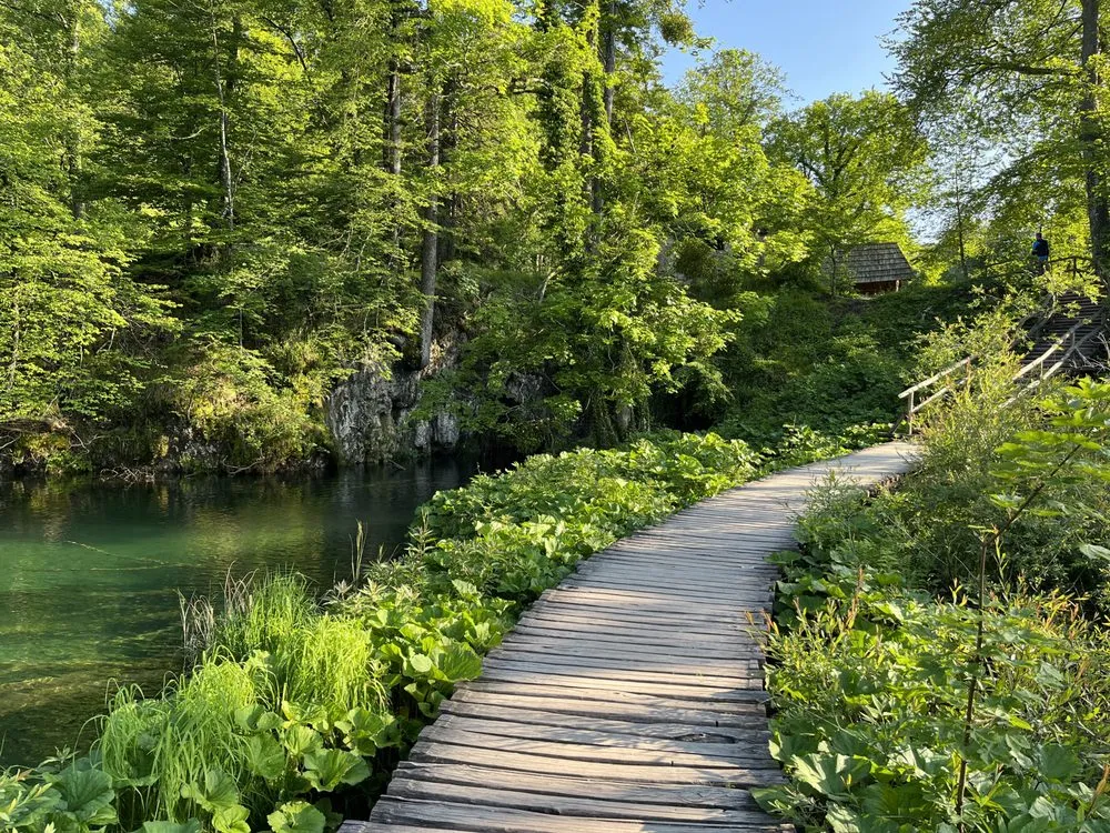 Reliable landscape design in Big Pine Key, FL by Evergreen Islands