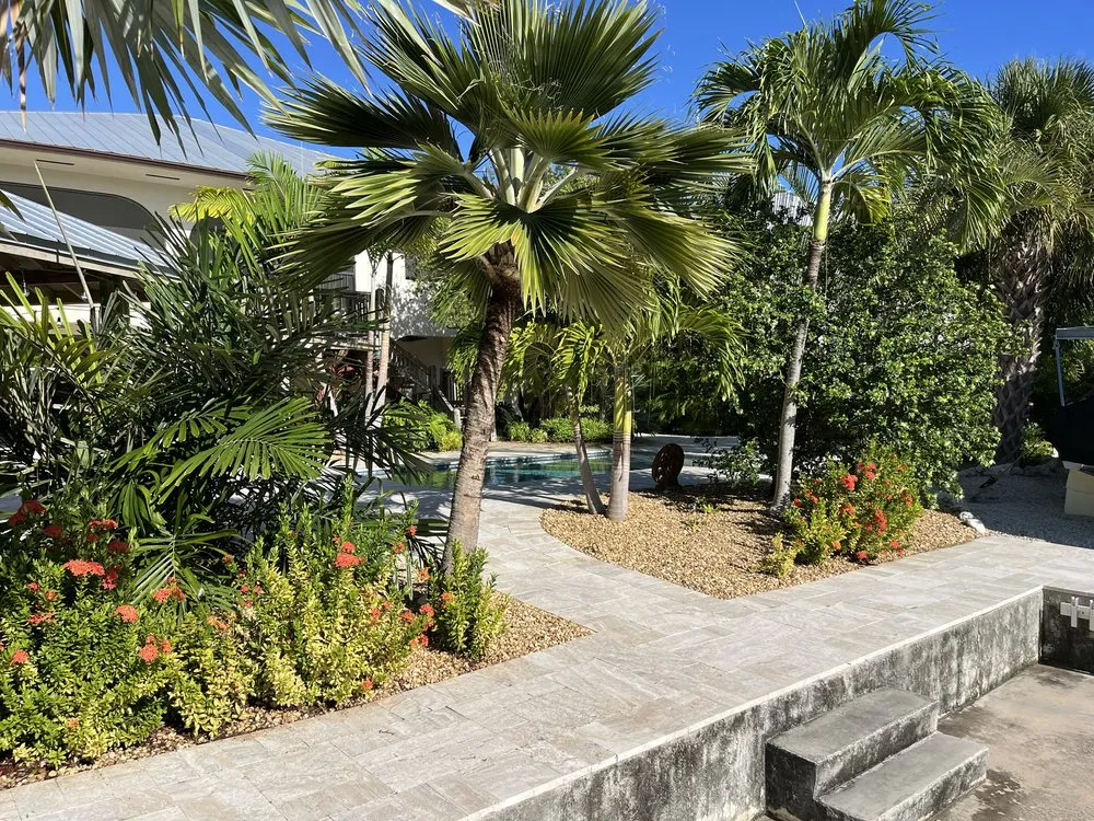 Affordable lawn mowing service in Big Pine Key, FL - Evergreen Islands