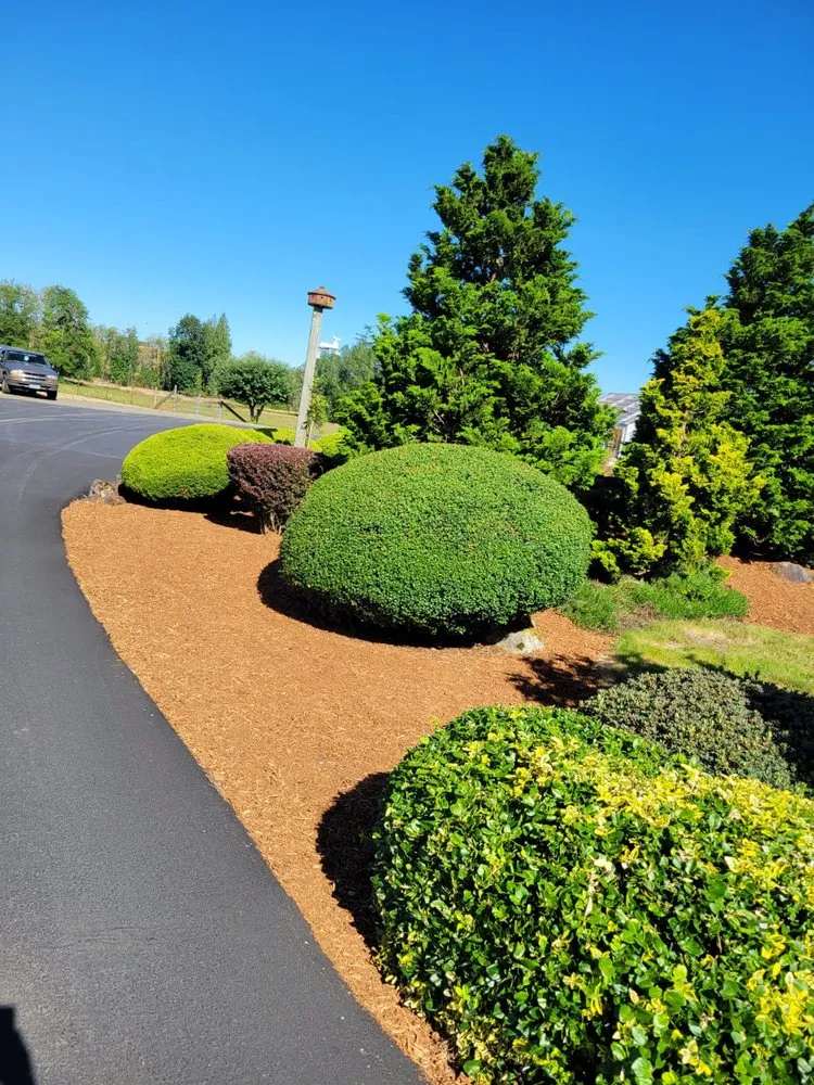 Affordable garden landscaping for residential properties in Ridgefield, WA by Evergreen Land Maintenance