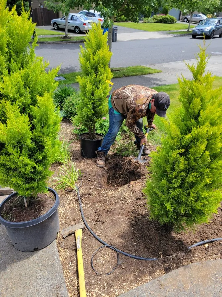 Expert yard cleanup service in Ridgefield, WA - Evergreen Land Maintenance