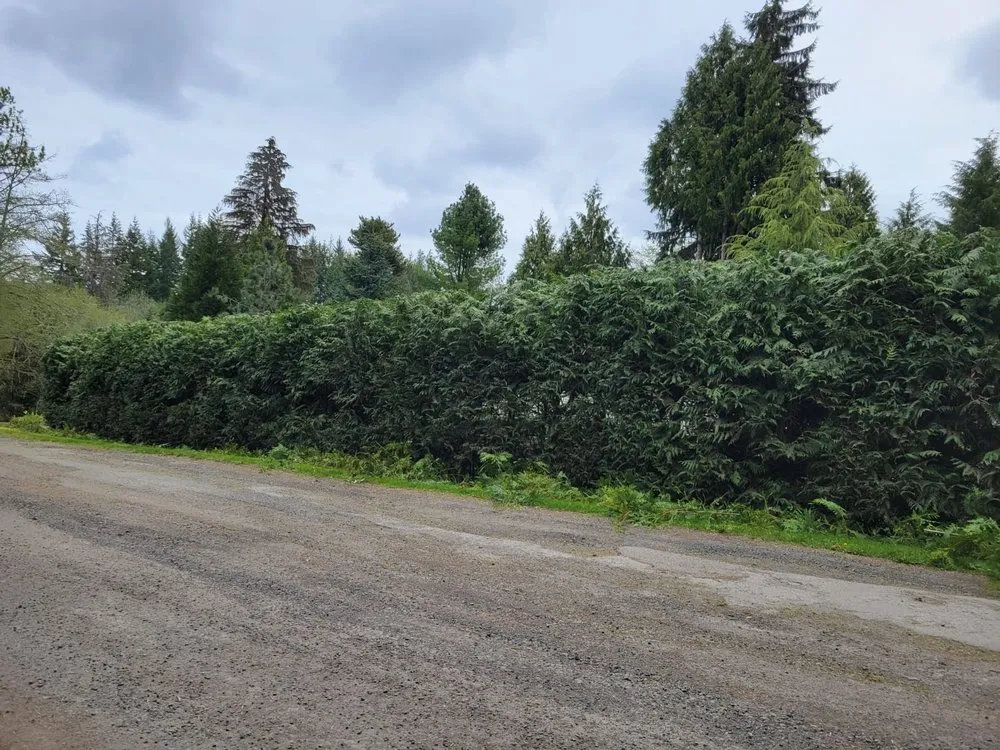 Local residential landscaping in Ridgefield, WA - Evergreen Land Maintenance