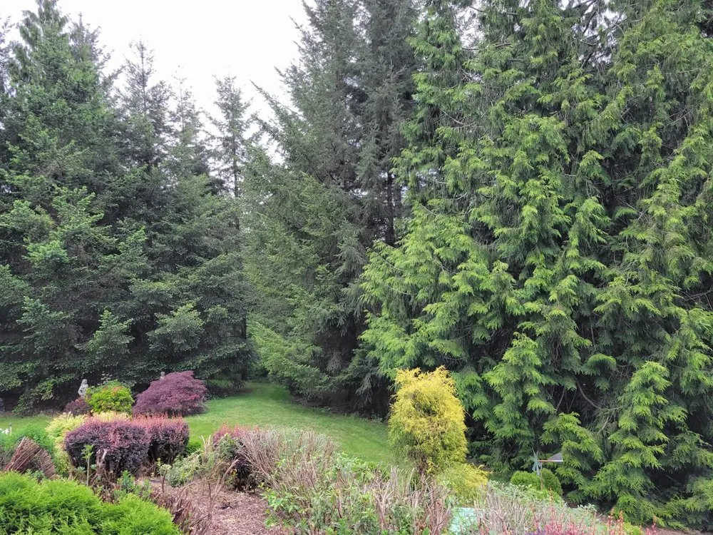 Expert lawn mowing service in Ridgefield, WA - Evergreen Land Maintenance