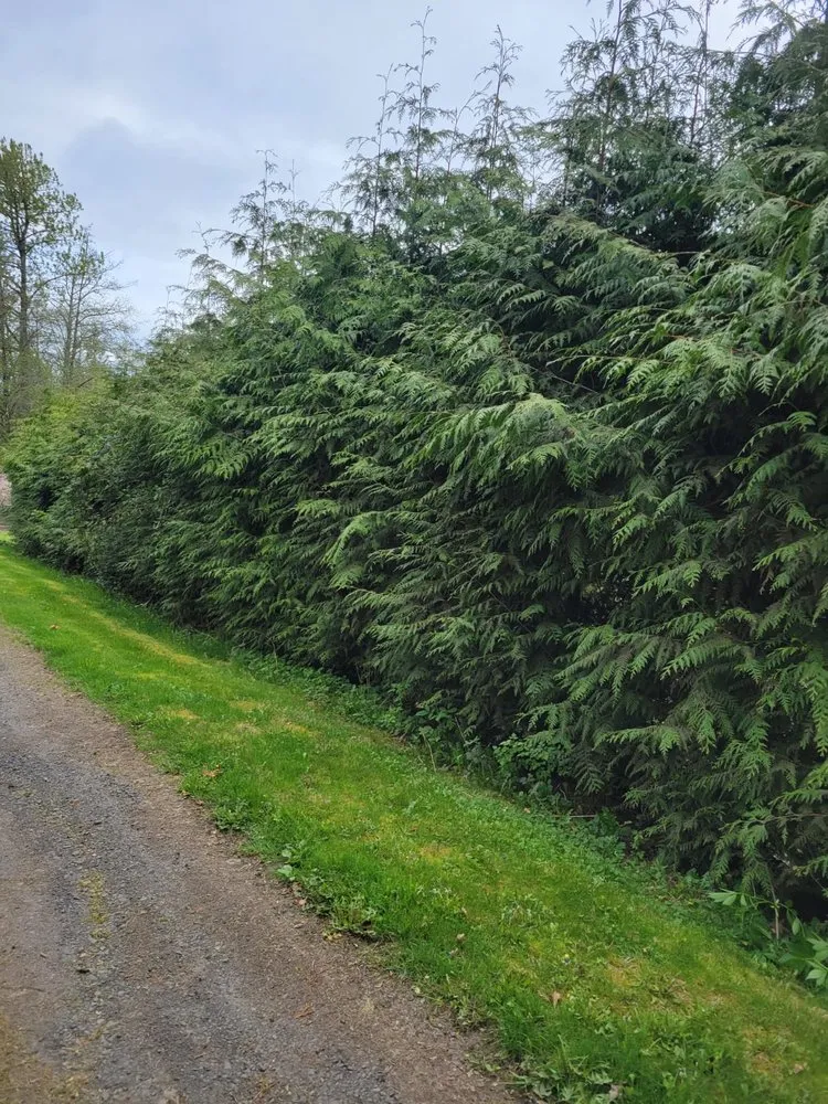 Reliable garden landscaping for homes in Ridgefield, WA by Evergreen Land Maintenance