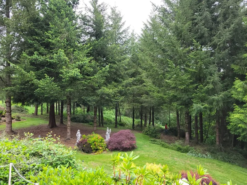 Top-rated outdoor landscaping experts serving Ridgefield, WA - Evergreen Land Maintenance