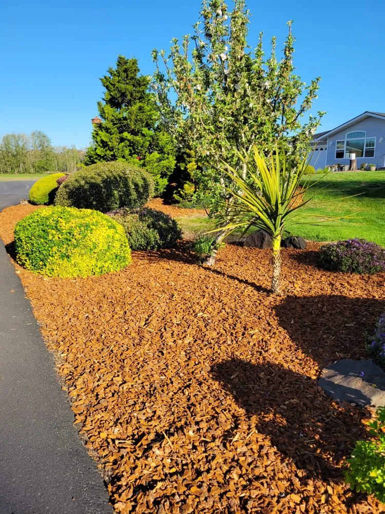 Local yard cleanup service in Ridgefield, WA by Evergreen Land Maintenance
