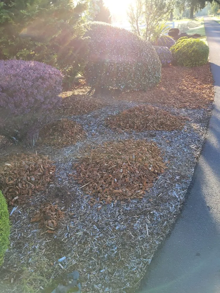 Trusted landscape design for residential properties in Ridgefield, WA by Evergreen Land Maintenance