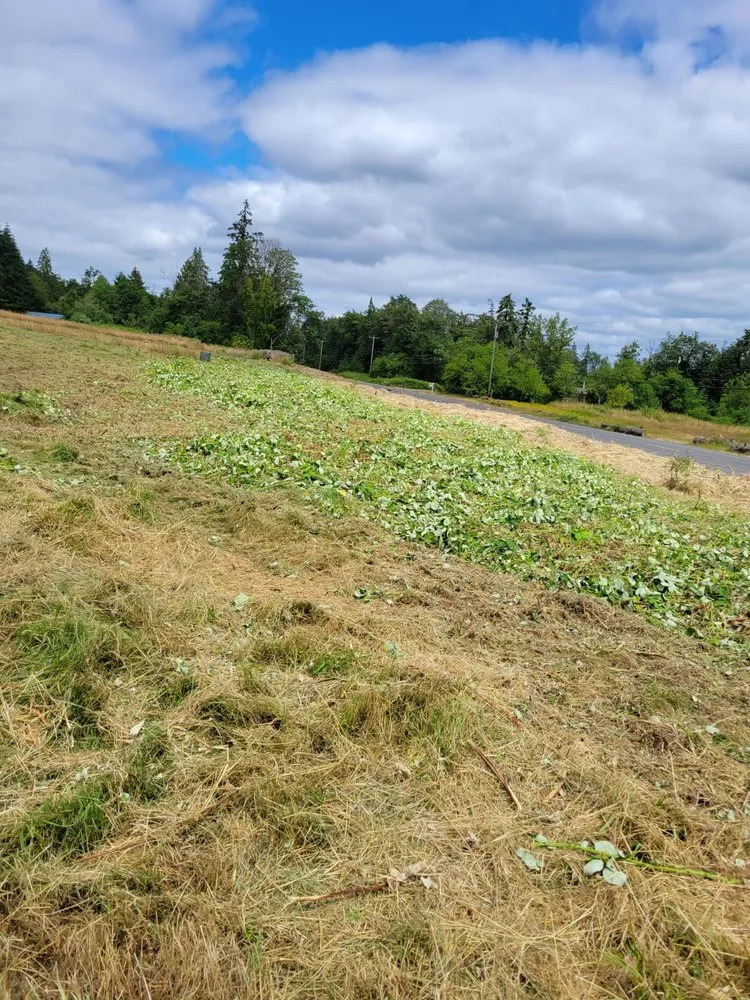 Top-rated residential landscaping for homes across Ridgefield, WA - Evergreen Land Maintenance