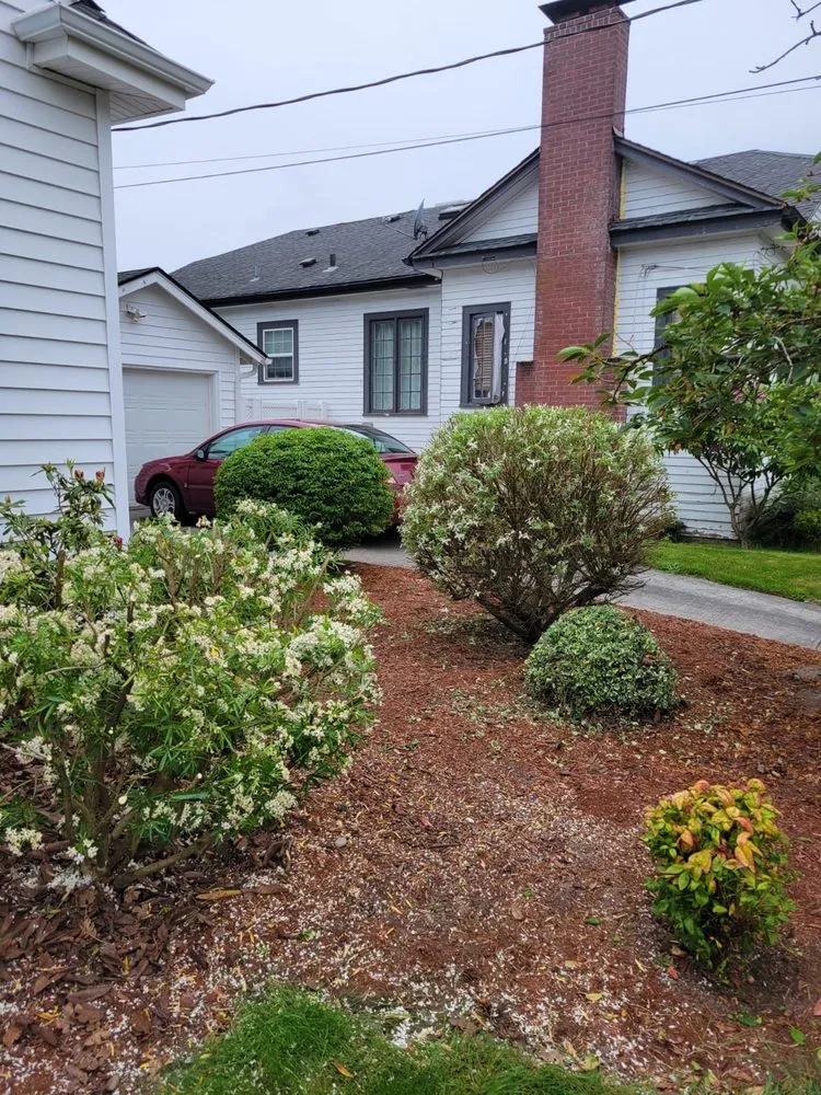 Expert lawn care service experts serving Ridgefield, WA - Evergreen Land Maintenance