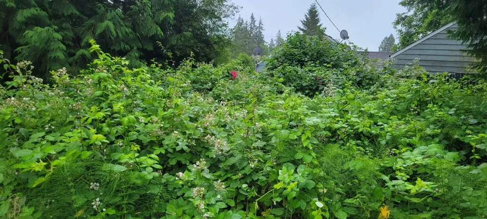 Reliable residential landscaping for year-round maintenance in Ridgefield, WA by Evergreen Land Maintenance