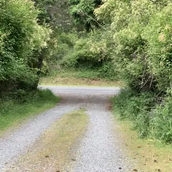 Affordable lawn care service for homes across Oak Harbor, WA - Evergreen Landscape & Construction