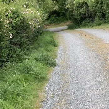 Trusted landscaping services in Oak Harbor, WA - Evergreen Landscape & Construction