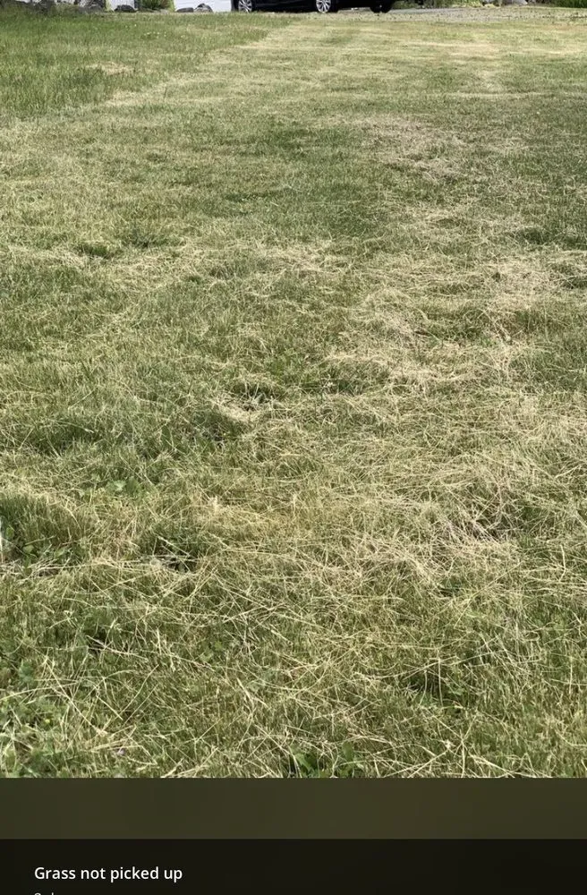 Professional residential landscaping in Oak Harbor, WA by Evergreen Landscape & Construction