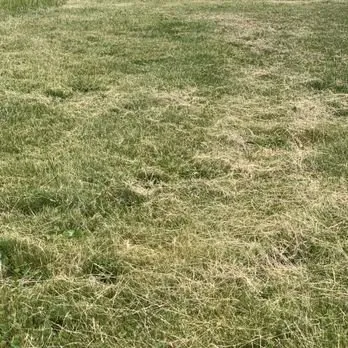 Expert residential landscaping for homes in Oak Harbor, WA by Evergreen Landscape & Construction