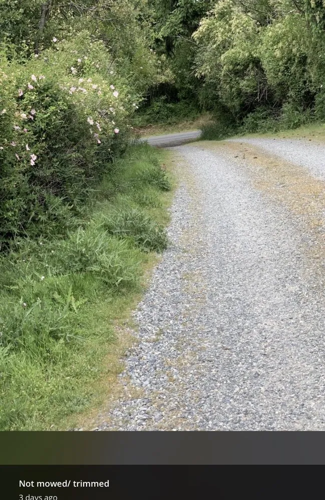 Reliable landscape installation experts serving Oak Harbor, WA - Evergreen Landscape & Construction