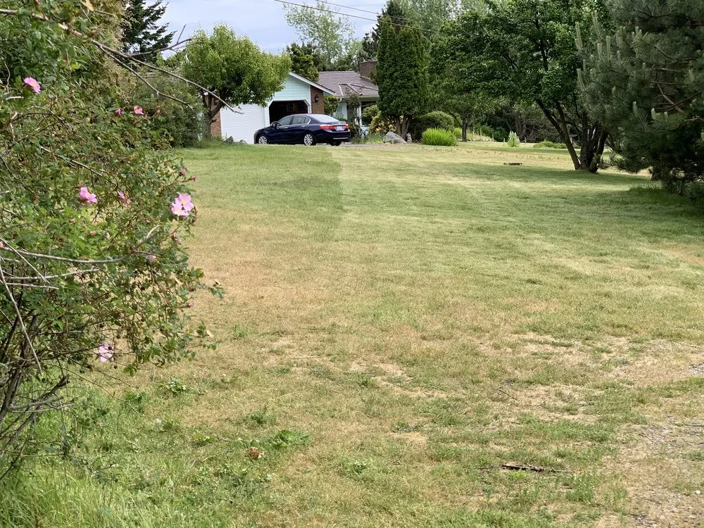 Professional yard maintenance with custom design in Oak Harbor, WA by Evergreen Landscape & Construction