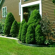 Expert residential landscaping near you in Brewster, NY by Evergreen Landscape & Ground Maintenance